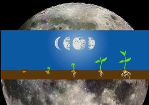 Lunar Gardening Secrets: Grow Your Best Garden by the Moon!